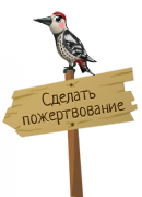 Сделать пожертвование