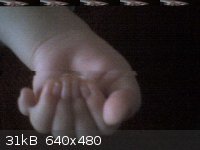 DSC00030.JPG - 31kB